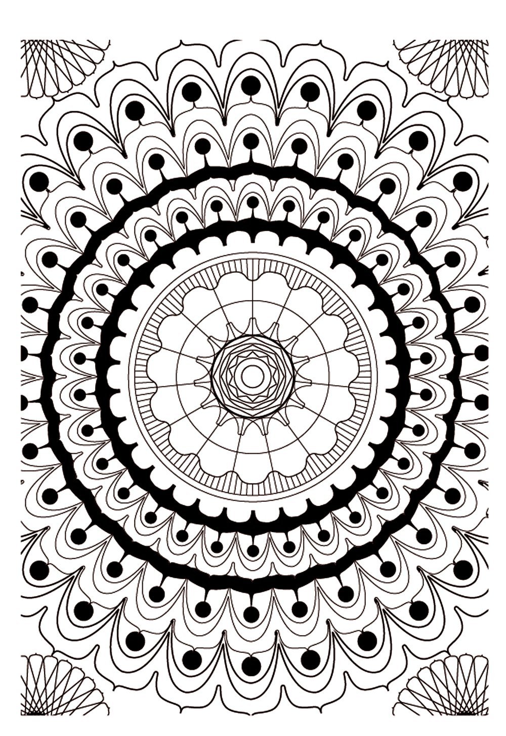 Très joli mandala à colorier assez graphique où figure plusieurs arcs de cercles tout autour du dessin, avec une magnifique fleur au centre de ce mandala.